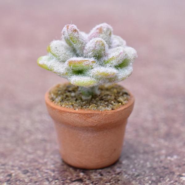 ~j`Ap[c A~jT{e [CT3] (1/12XP[) [m-s]ylR|XzΉzyCz