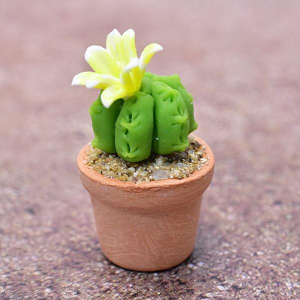 ~j`Ap[c A~jT{e [CT5] (1/12XP[) [m-s]ylR|XzΉzyCz