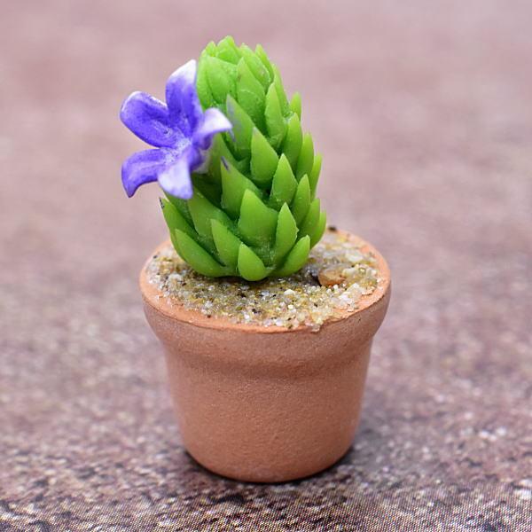 ~j`Ap[c A~jT{e [CT8] (1/12XP[) [m-s]ylR|XzΉzyCz