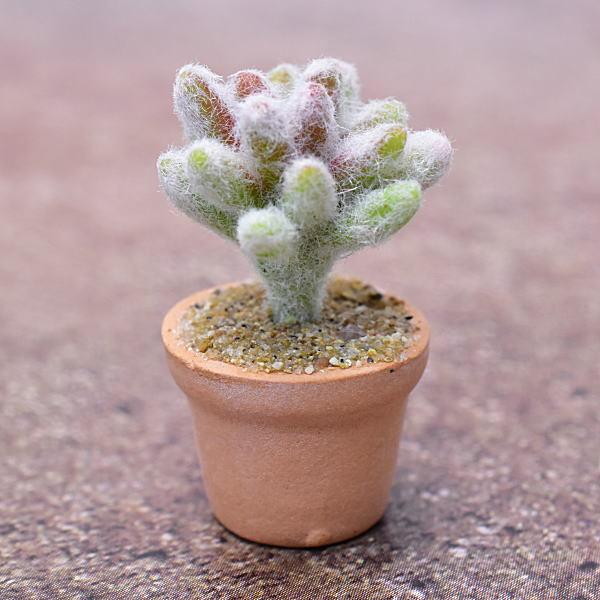 ~j`Ap[c A~jT{e [CT10] (1/12XP[) [m-s]ylR|XzΉzyCz