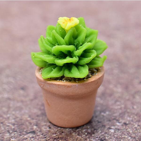 ~j`Ap[c A~jT{e [CT20] (1/12XP[) [m-s]ylR|XzΉzyCz