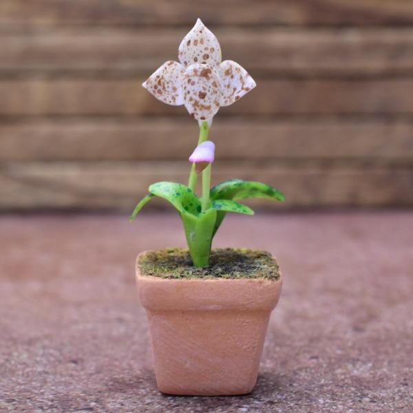 ~j`Ap[c A() [ORP4] (1/12XP[) [m-s]ylR|XzΉzyCz