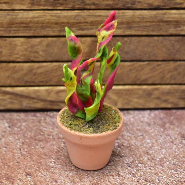 ~j`Ap[c AϗtA [PNL25] (1/12XP[) [m-s]ylR|XzΉzyCz