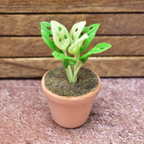 ~j`Ap[c AϗtA [PNL36] (1/12XP[) [m-s]ylR|XzΉzyCz