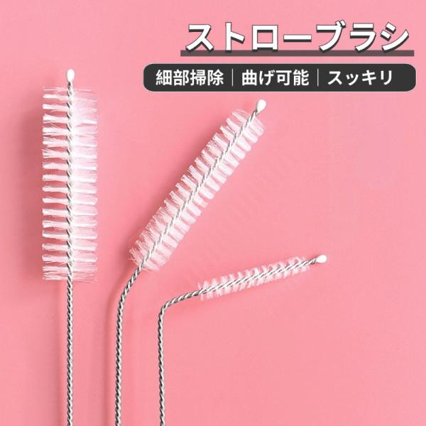 ストローブラシ 10本セット 吸管ブラシ ボトル洗浄 繰り返し使用可能 隙間ブラシ ステンレスブラシ 水筒洗浄 キッチン掃除 清掃ブラシ 細口洗浄 掃除グッズ