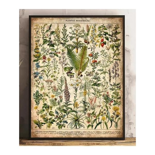 ※こちらはポスターのみの価格です(額なし)アンティーク調、ヴィンテージ感のあるデザインです。お部屋にお花を添えると気持ちもお部屋も明るくなります。図鑑のようなデザインでいろんなお花が楽しめます。お気に入りの好きなアートをお部屋に飾って毎日眺...