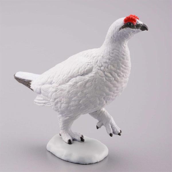 カプセルQミュージアム 日本の動物コレクション8 日本アルプス / 雷鳥が棲む岳 ライチョウ（冬毛）
