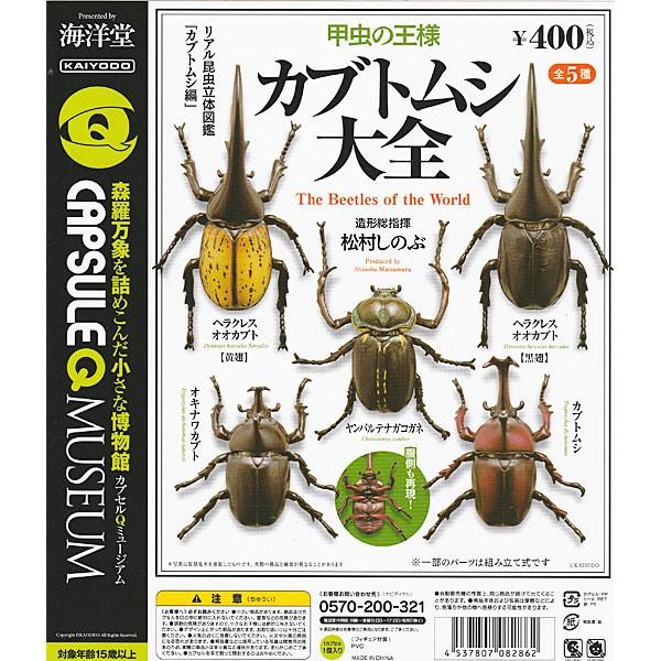 カプセルqミュージアム カブトムシ大全 全5種セット トイショップ サイドスリー 通販 Yahoo ショッピング