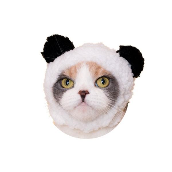 ねこのかぶりもの かわいいかわいい ねこくまちゃん パンダ ＊レターケース&追跡番号付郵便対応
