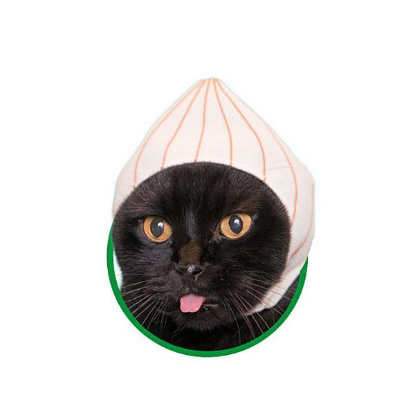 ˂̂Ԃ 킢킢 ˂؂ ܂˂ ^[P[X&amp;ǐՔԍtX֑Ή