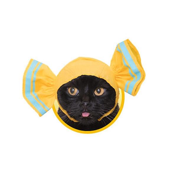 ˂̂Ԃ 킢킢 ˂LfB nj[ ^[P[X&amp;ǐՔԍtX֑Ή