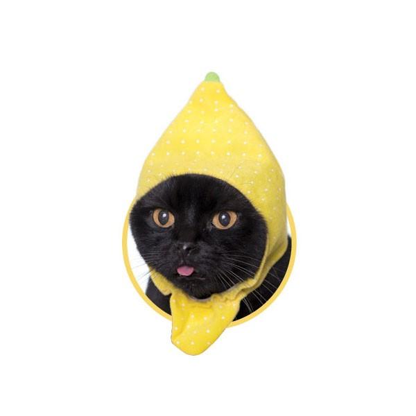 ねこのかぶりもの かわいいかわいい ねこフルーツちゃん2 レモン ＊レターケース&追跡番号付郵便対応