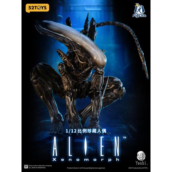 toyshopside3_6958985053617_2_d_20251006163018