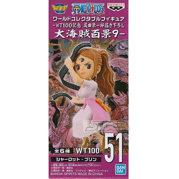 s[X [hRN^utBMA WT100LO chY`낵 CSi9 WT 100-51 V[bgEv