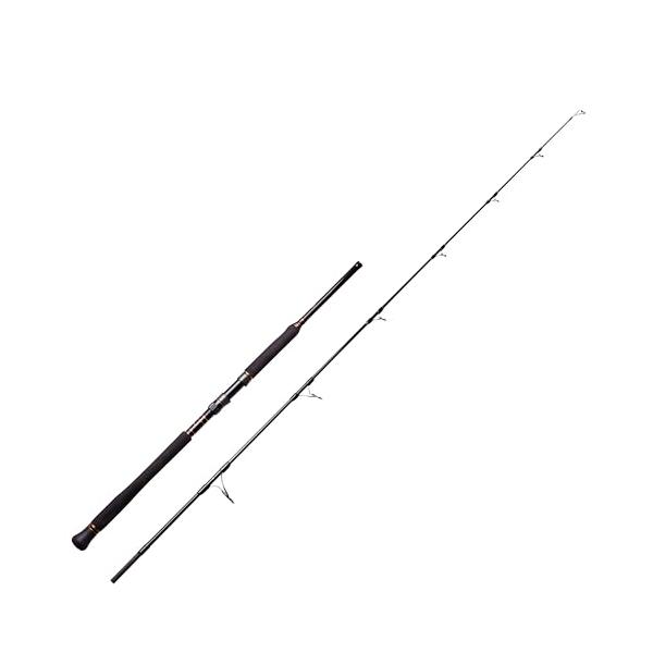 PENN (ペン) SLAMMER CASTING スラマー キャスティング SLCS-71LMH