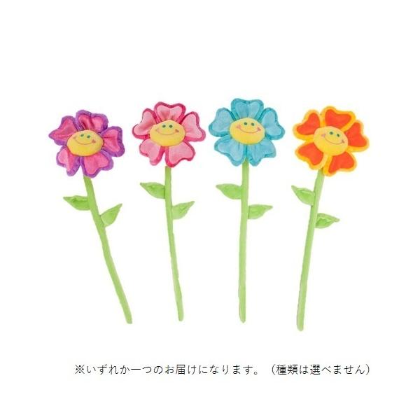 トイザらスオリジナル ぬいぐるみ ファンキーフラワー 色ランダム の最安値と通販店 取扱店なし サープラ