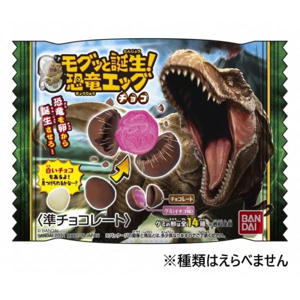 モグッと誕生 恐竜エッグチョコ パッケージランダム Buyee Servis Zakupok Tretim Licom Buyee Pokupajte Iz Yaponii