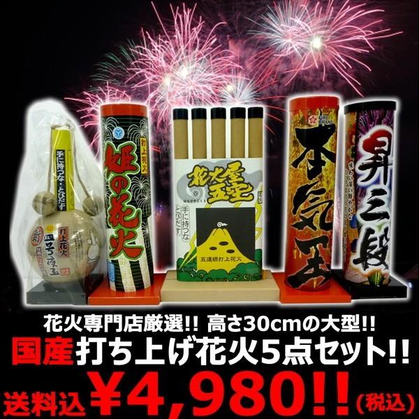 花火 花火屋厳選 国産 本気の打上花火セットa 5種類5本 日本製 本格大型花火 キャンプ q 子供会 町内会 ファミリー 夏合宿 トイスタジアム Goodバリュー 通販 Yahoo ショッピング