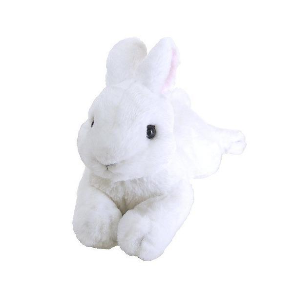 Ђ ʂ zCg  Aj} S37cm