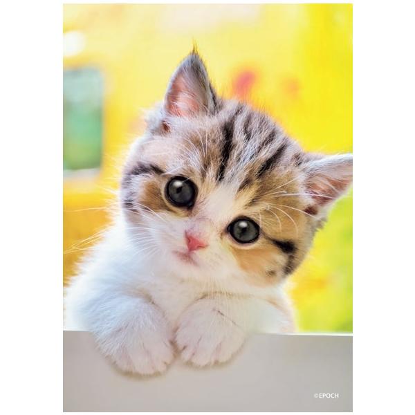 動物　ねこ　犬　パズル　108ピース ジグソーパズル 108ピース にゃんだろう？ 03-096 : トイ