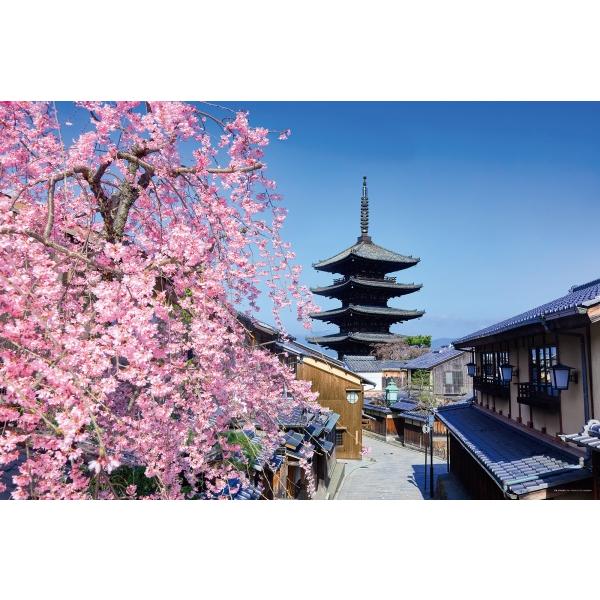 2026年1月予定 ジグソーパズル 1000ピース 桜と望む八坂の塔（京都