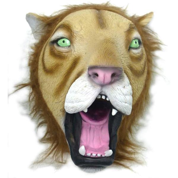 p[eB[ObY Aj}}XN Sb̉ CI