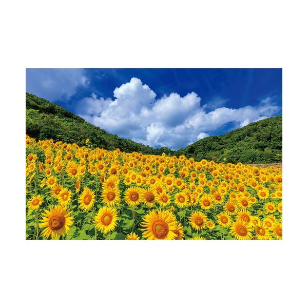 ひまわり パズルの人気商品 通販 価格比較 価格 Com