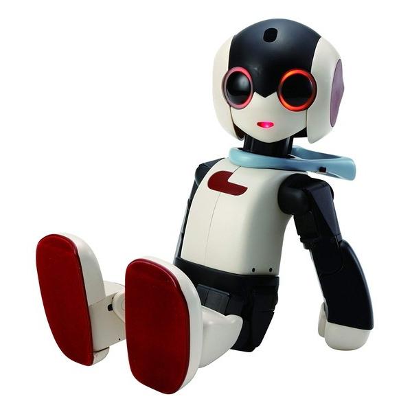 ロビ Robi 組立済み完成品 キャリングケース付き 特装版 RB20323021