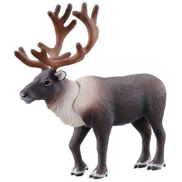 アニア AS-15 トナカイ 送料無料 : トイスタジアムYahoo!店 - 通販