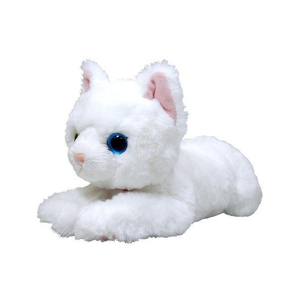 Ђ˂ ʂ zCg IbhAC STCY  Aj} S36cm@