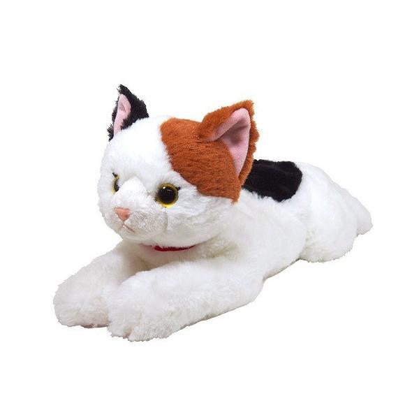 Ђ˂ ʂ ~P MTCY  Aj} S47cm@