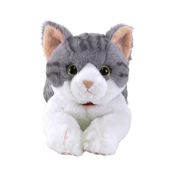 Ђ˂ ʂ݁@ToV MTCY@S47cm P-7792@