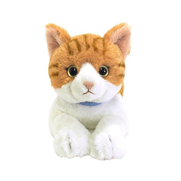 Ђ˂ ʂ݁@`V MTCY@S47cm P-7802@