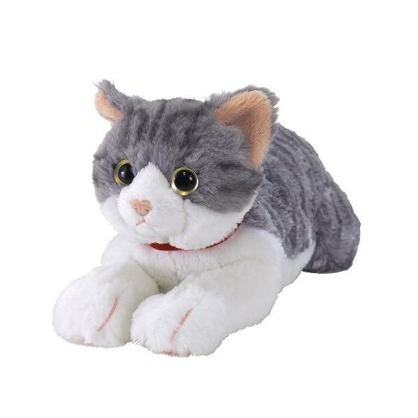 Ђ˂ ʂ݁@ToV STCY@S36cm P-7812@