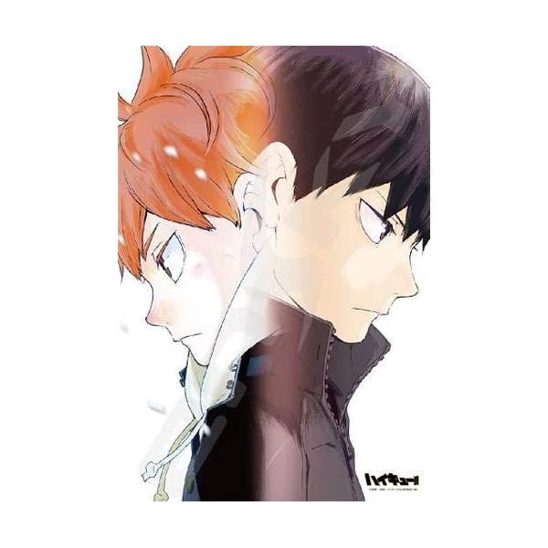 �W�O�\�[�p�Y�� 300�s�[�X �n�C�L���[!! ��l�̌��� 26×38cm 300-1532�@��������