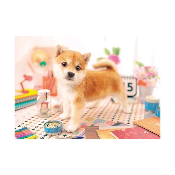 �W�O�\�[�p�Y���@108�s�[�X�@�����ڂ���! �@18.2x25.7cm�@01-065�@��������