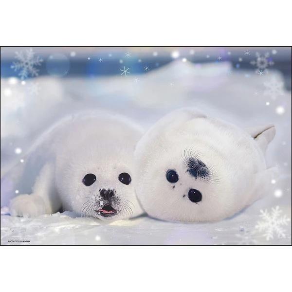 ジグソーパズル 300ピース アザラシの幼稚園 26×38cm 300-190 送料無料