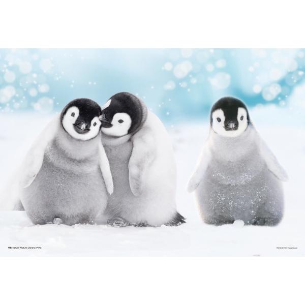 8月発売予定 ジグソーパズル 300ピース どこいく？ペンギン 26×38cm 03
