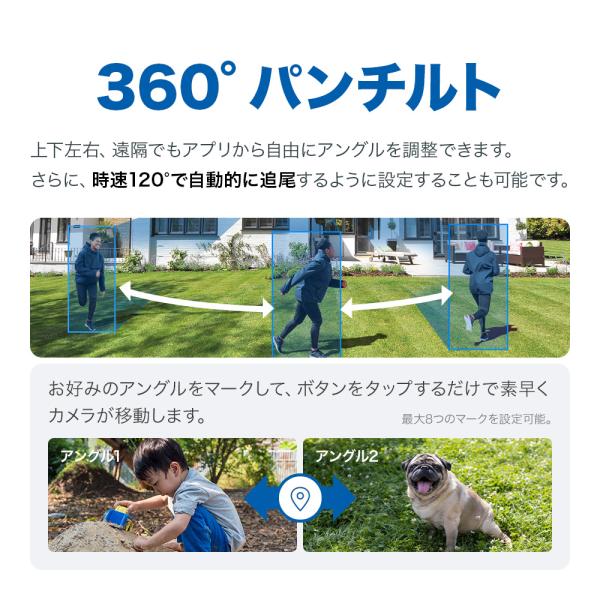 tplink_4895252504279_4_d_20241225112448