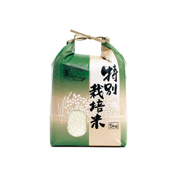 ATqpbN ЂtNtgđ t CgEʍ͔| 2kgp i200j140×345mm