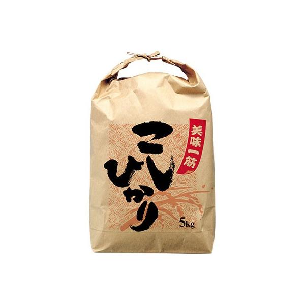 ATqpbN ЂtNtgđ Ȃ ؁EЂ 5kgp i100j280×460mm