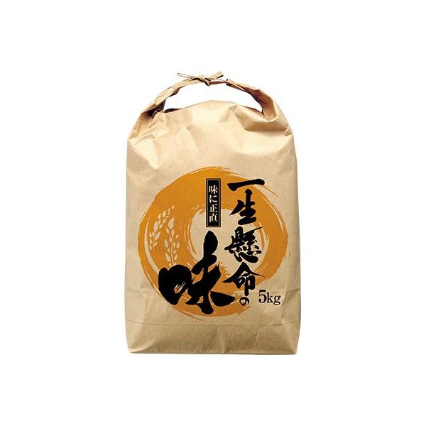 ATqpbN ЂtNtgđ Ȃ ꐶ̖ 10kgp i100j340×520mm