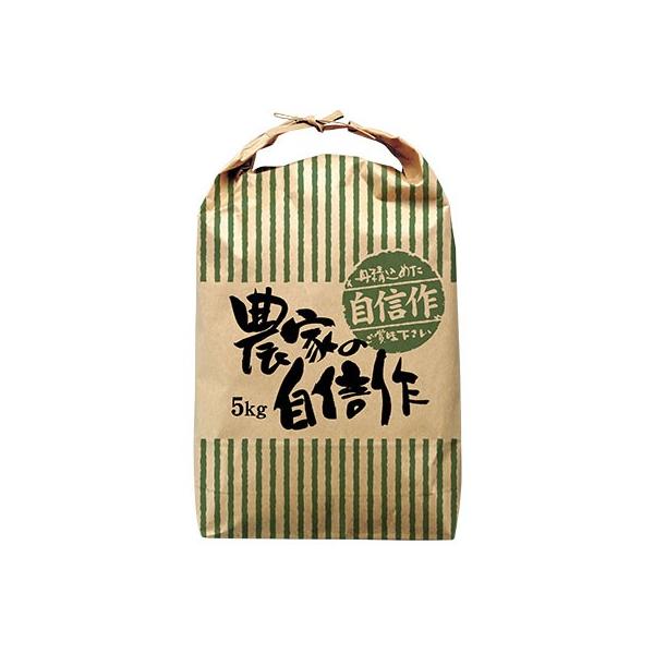 ATqpbN ЂtNtgđ Ȃ _Ƃ̎M 10kgp i100j340×520mm