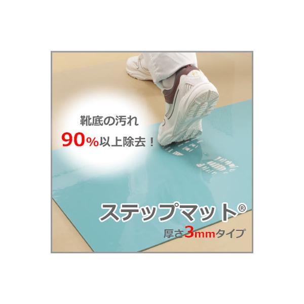 GNV[ Xebv}bg^3mm 900×600 u[O[ SM01-11001