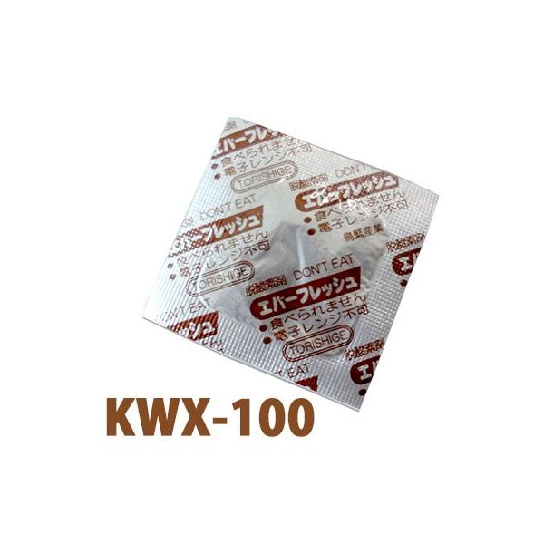 ɎY E_f Go[tbV KWX-100ibg250j40×45mm