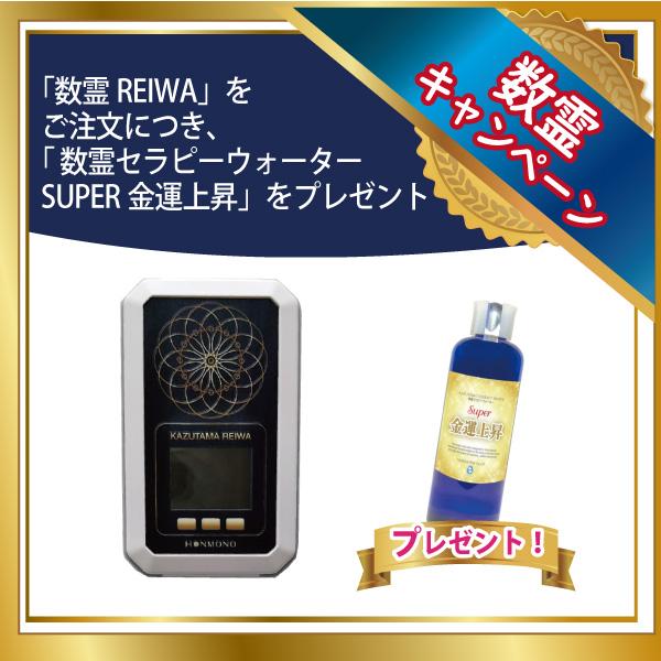 豪華特典DVD、ペンダント付き】 数霊 REIWA reiwa かずたま 豪華特典DVD、ペンダント付き】 数霊 REIWA reiwa かずたま