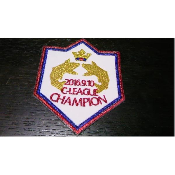 v싅ObYiLpj/LOJ[vby2016Z[ODLOc/ ×S[hnJ[MTCYԍEp