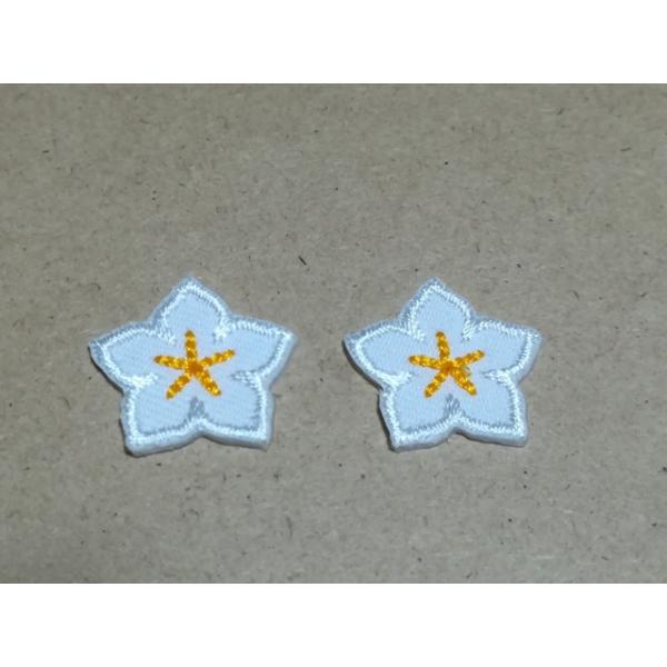 }XNfRp/hJj[̉ԃby21Zbg/zCg