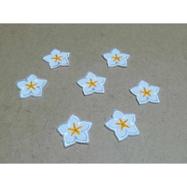 v싅ObYiLbYpj/2cmTCYhJj[̉ԃby71Zbg/zCgE