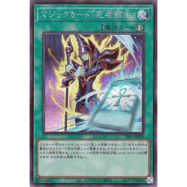 遊戯王オフィシャルカードゲーム デュエルモンスターズ 遊戯王カード